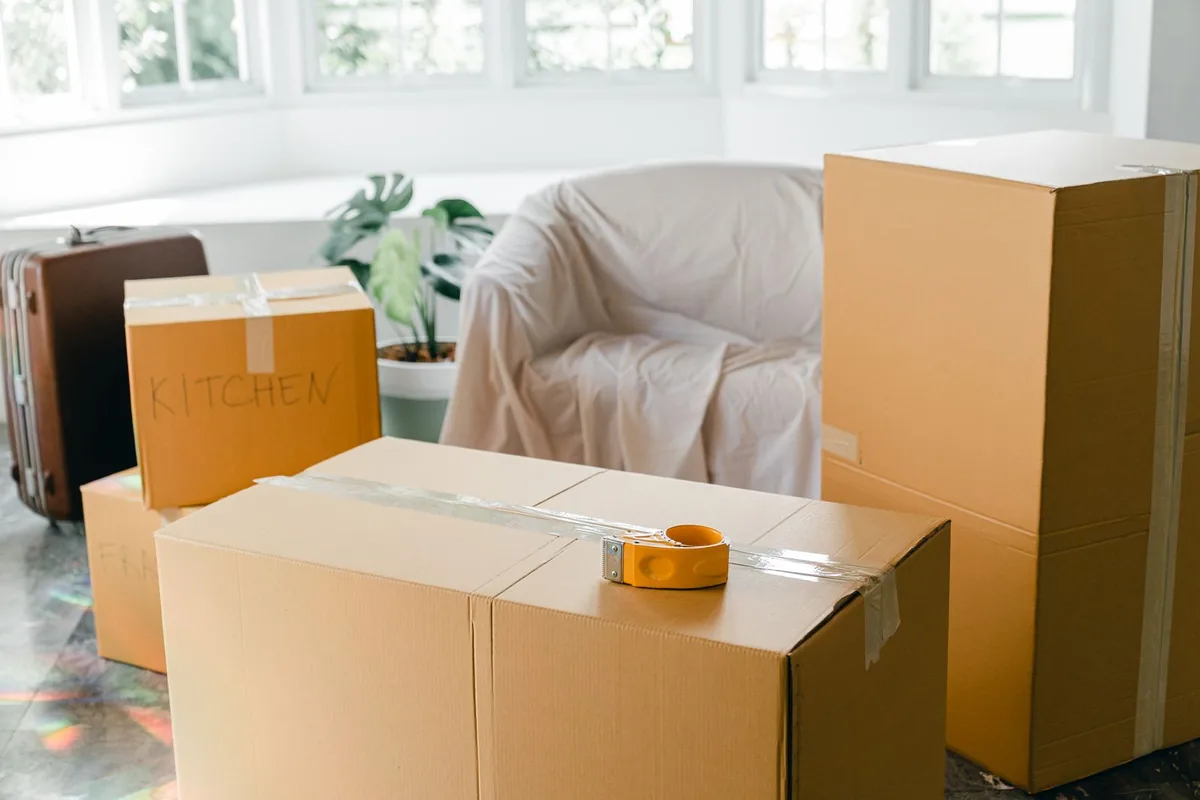 Hoarding Cleanup in Mason, MI